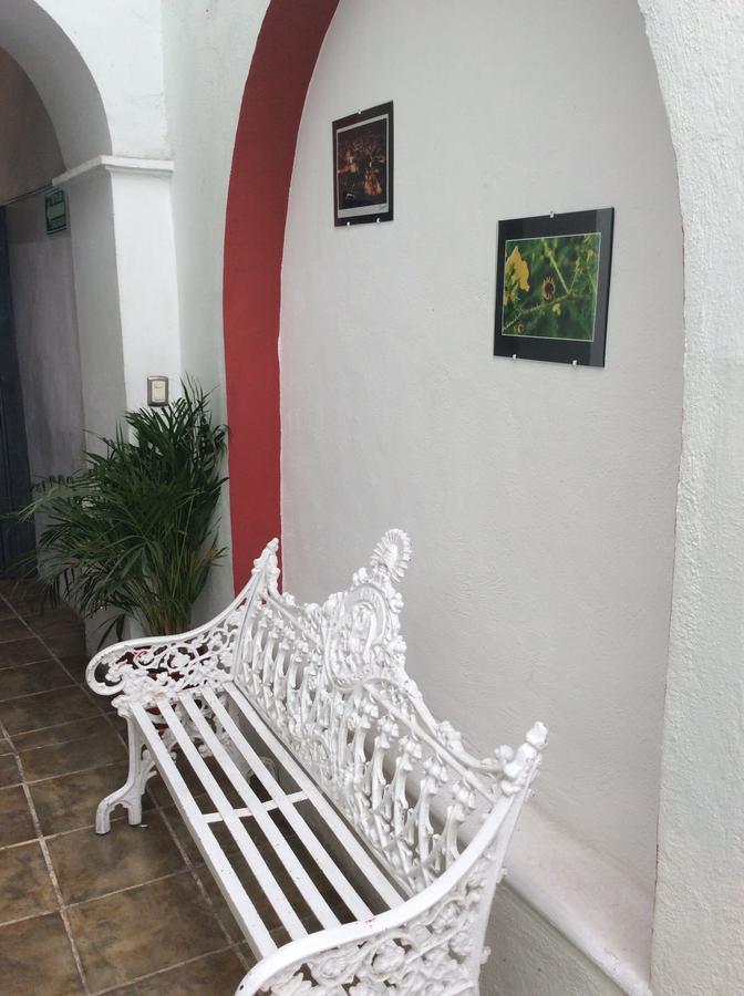 Hotel Casa Rocinante Guanajuato Kültér fotó